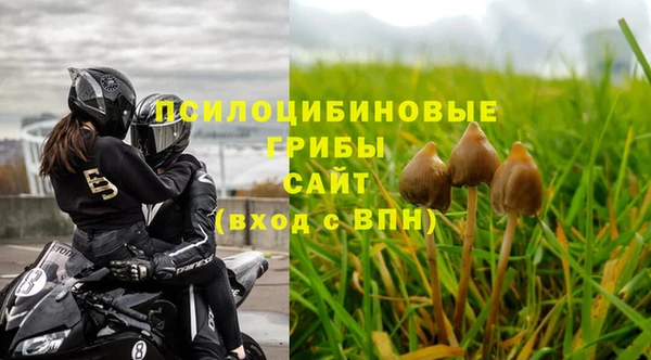 PSILOCYBIN Богородск